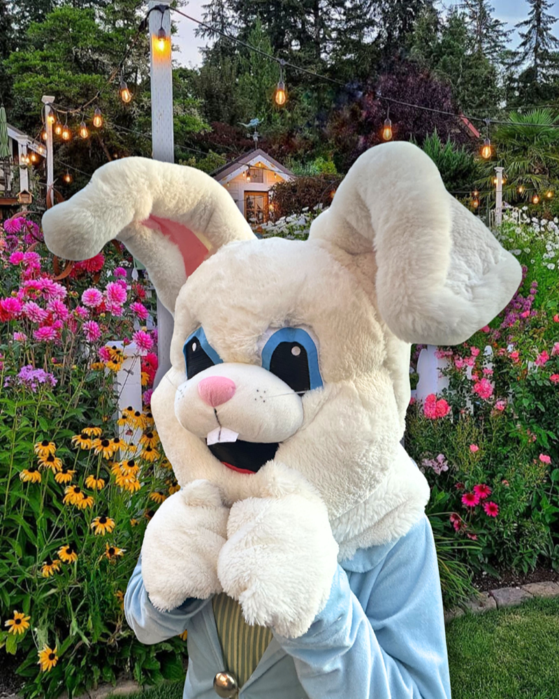 Professional-easter-bunny-visit-mississauga